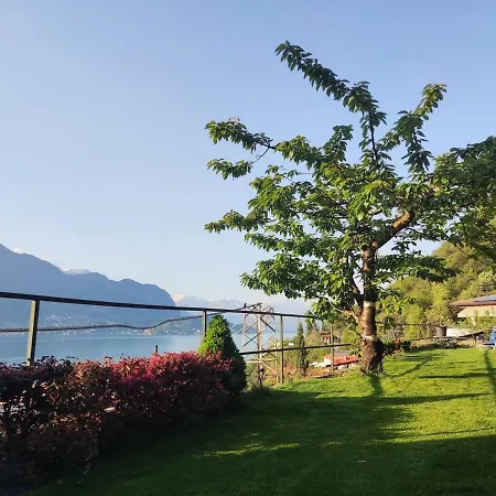 Mella House Garden Relax *